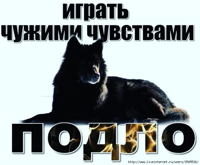 Не играй со мною проиграешь. Никогда не играй с чувствами других. не играйте чужими чувствами. играть чужими чувствами. не играйте на чувствах.