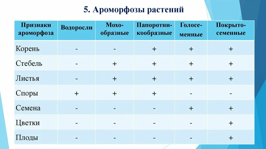 Перечислите ароморфозы растений. Ароморфозы растений. примеры ароморфоза у растений. ароморфозы растений и животных таблица. основные ароморфозы растений и животных таблица.