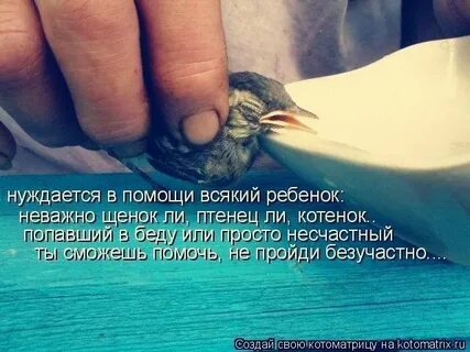 Смогу вам помочь