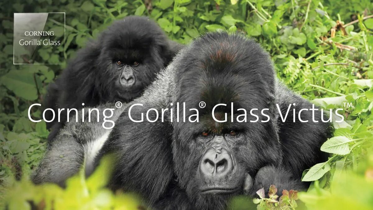 Corning gorilla victus. Корнинг горилла Гласс. Горилла Гласс Виктус. Горилла Гласс Виктус 2. Защитное стекло Corning Gorilla Glass Victus.