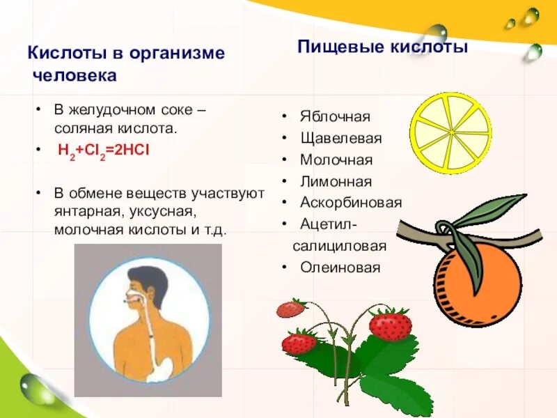 Какая кислота в организме человека. Кислоты в организме человека. кислоты в человеческом организме. роль кислот в организме человека. кислоты вырабатываемые в организме человека.