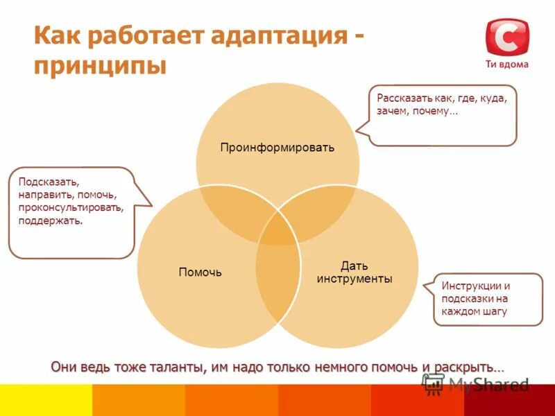 принцип адаптации