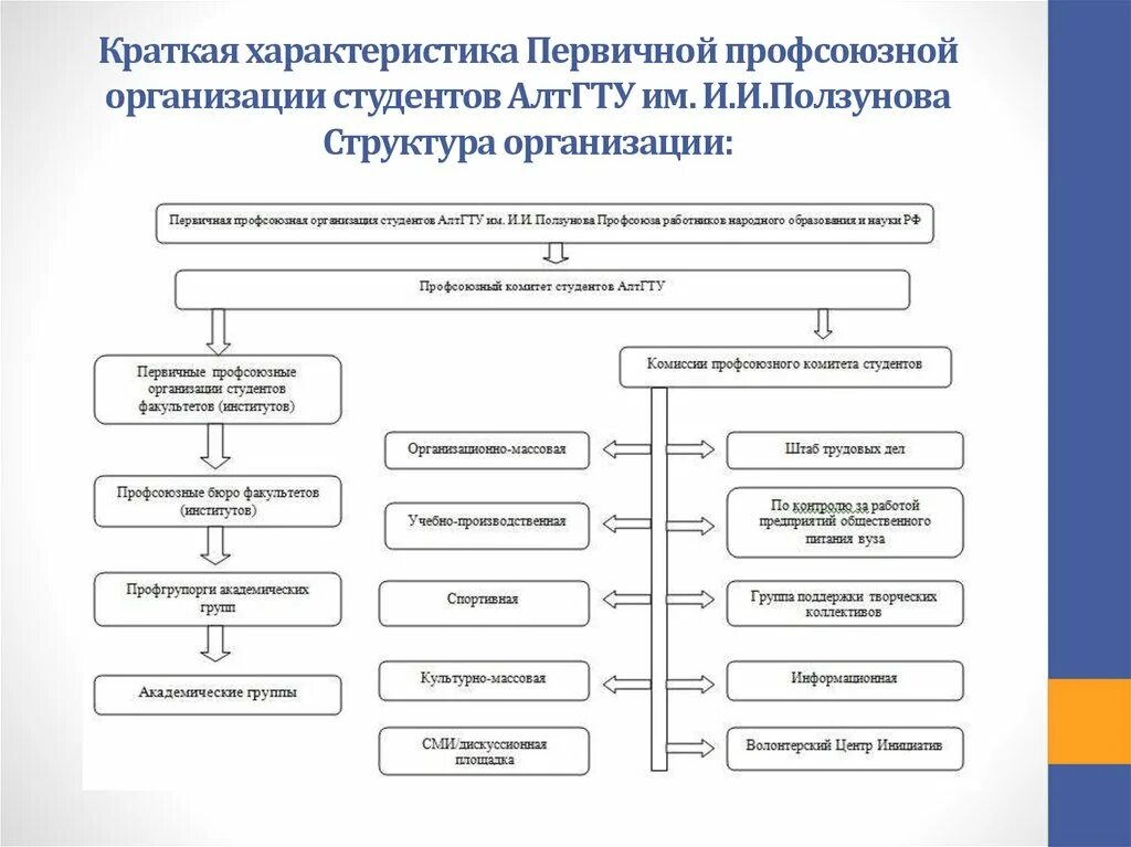 Структура первичной профсоюзной организации схема. Состав профкома первичной профсоюзной организации. Структура профсоюзного комитета предприятия. Организационная структура территориальной профсоюзной организации. Состав первичной организации