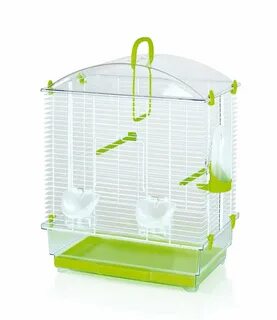 My pet solutions