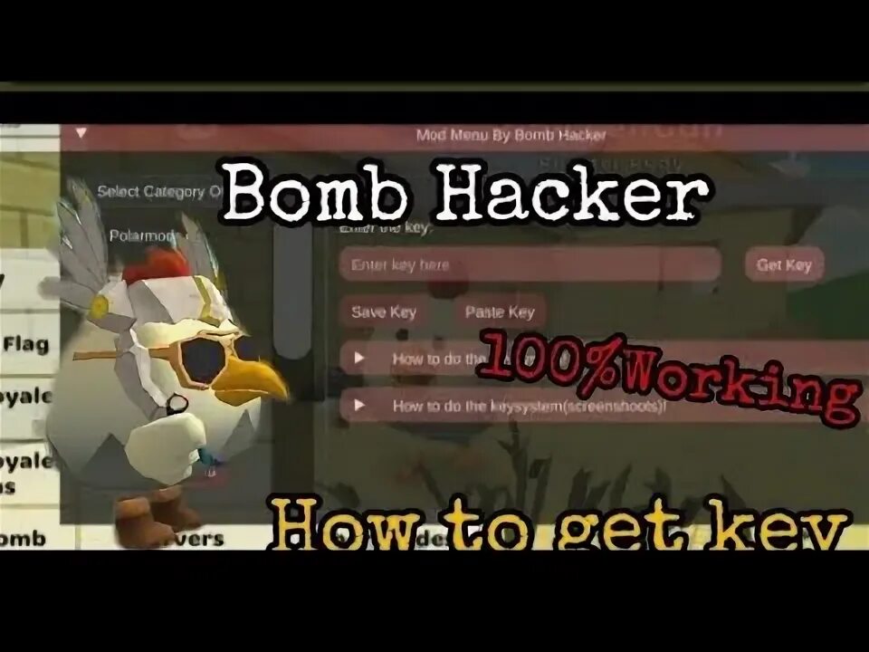 Bomb hacker chicken