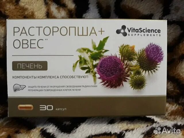 расторопша с овсом. расторопша в капсулах. расторопша овес инструкция. капсулы расторопша+овес овес расторопша. расторопши и овса в капсулах.