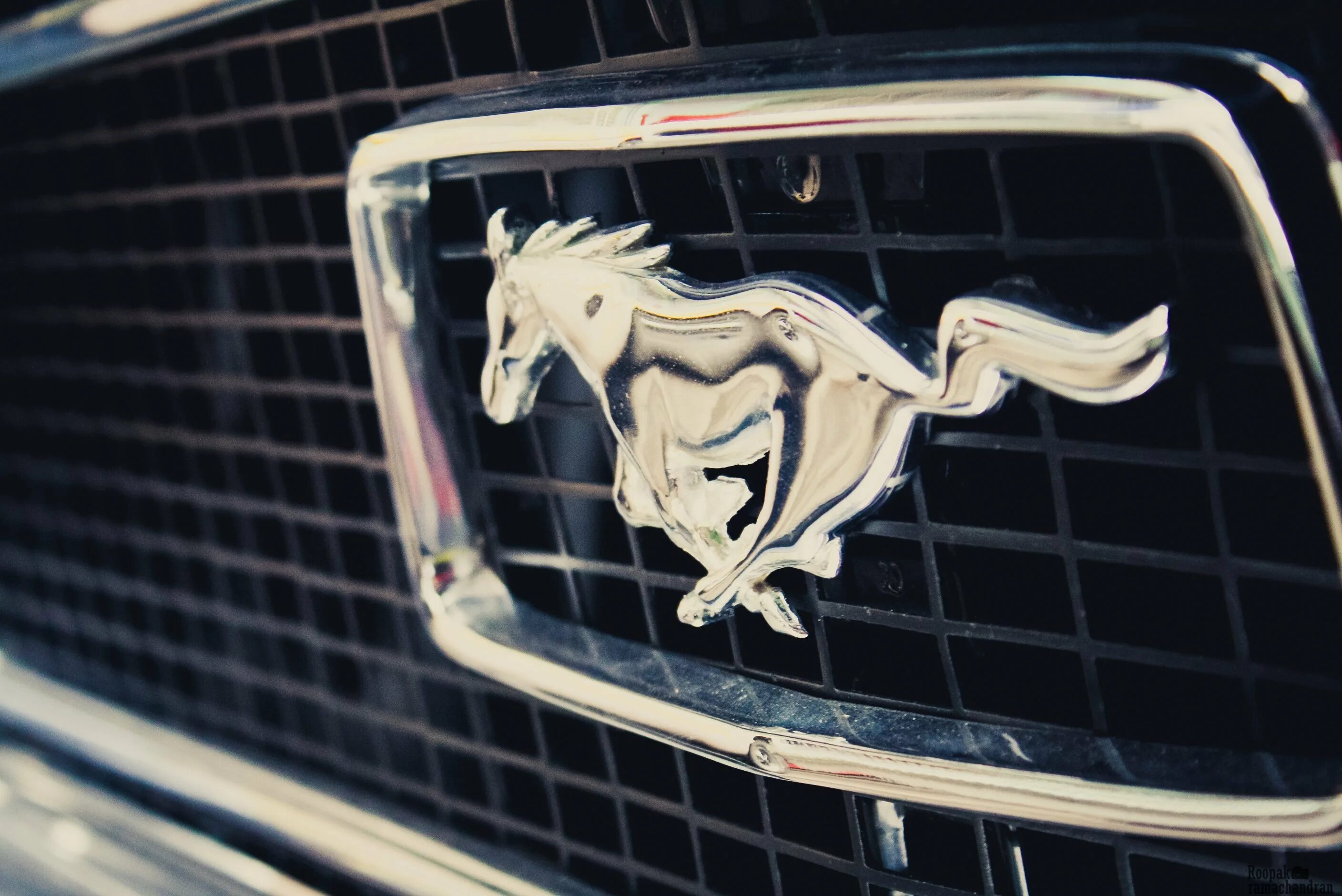 Как называется машина с лошадью. Авто с лошадью на эмблеме. Марка автомобиля с лошадью. Машина с логотипом лошади. Значок марки форд мустанг.