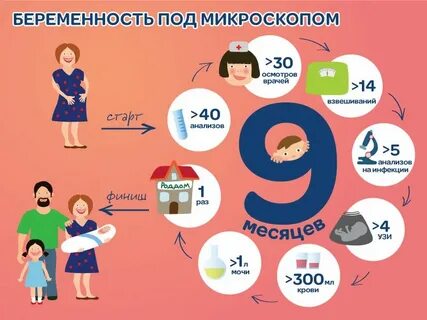 Планирование времени беременности