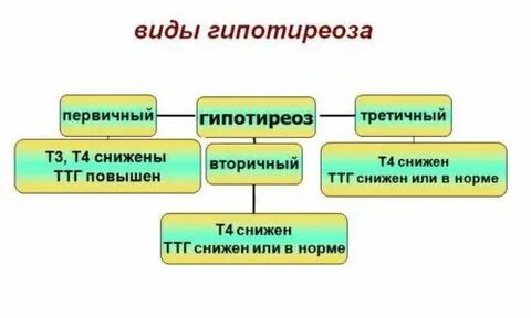 Первичный гипотиреоз уровень ттг