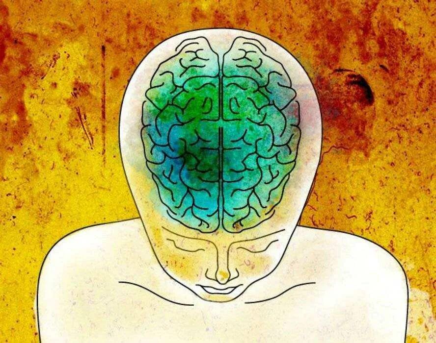 Медитация для мозга. Медитация мозг. Мозг при медитации. Сознание и мозг. Состояние мозга в медитации.