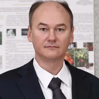 Виль сабирович. Виль сабирович. Виль сабирович. Виль сабирович. Виль сабирович.