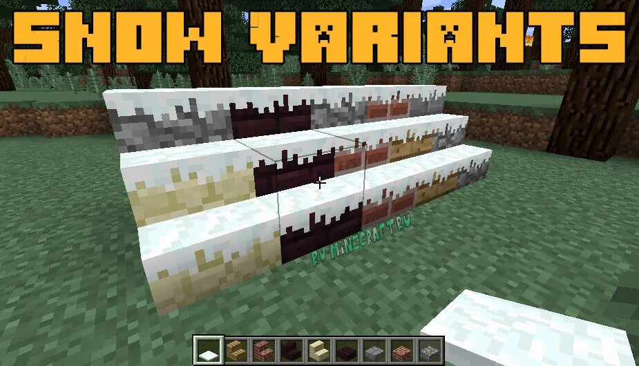 Snow variants