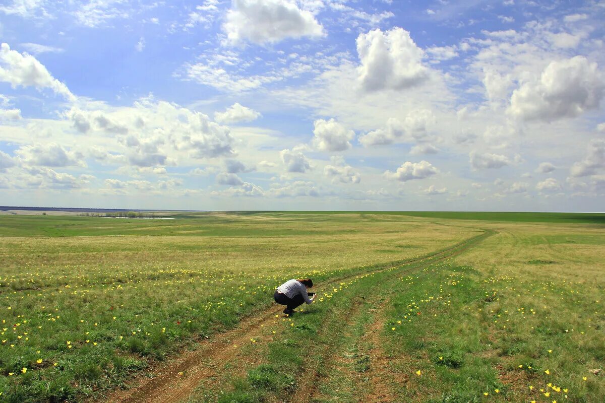 Поле александре. Скирда сноп. Военное поле фон. Красивые поля в нижегородской области для фотосессии. Поле нижневартовск.