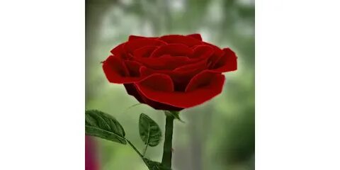 Жалаңаш кеңсе қызметкерлерін ұрып-соғу