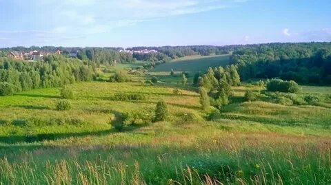 Петровское орловская область
