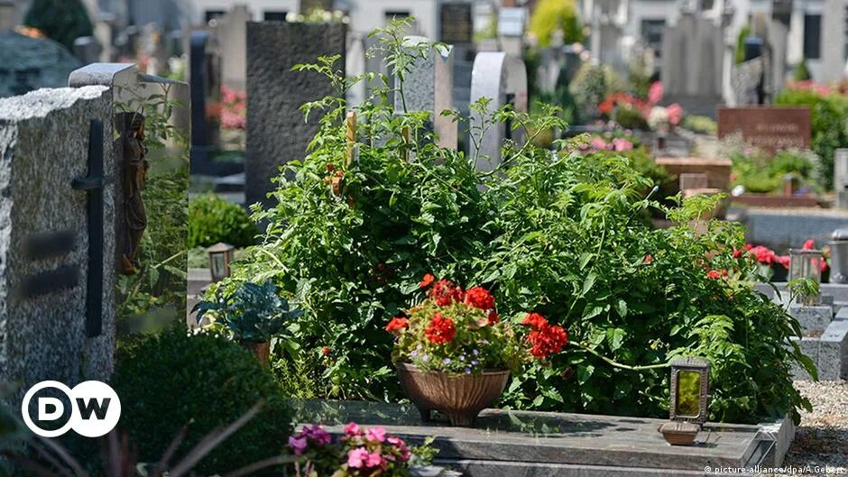 Цветочки на могилу. Украшение могилы искусственными цветами. Высокие цветы на кладбище. Цветы на кладбище. Вазоны с цветами на кладбище.
