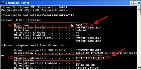 Flexnet licensing service что это