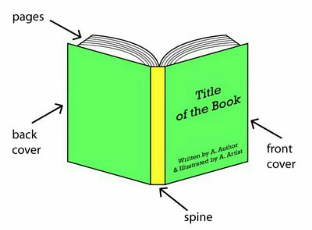 Parts of a book. Части книги на английском. Название частей книги. Названия частей обложки книги. Основные элементы книги.