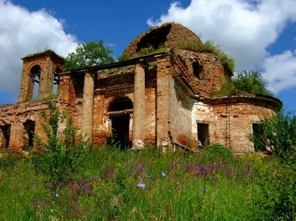 Ели успенское