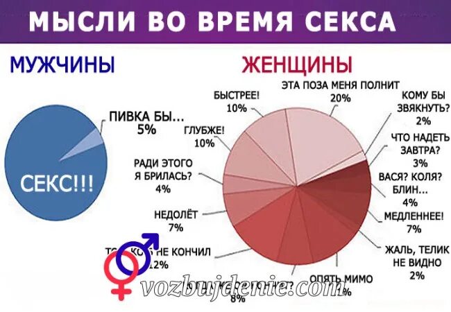 Сколько должен половой акт. Продолжительность полового акта. Статистика длительности полового акта. Сколько времени длится половой акт. Рассказы про кончить