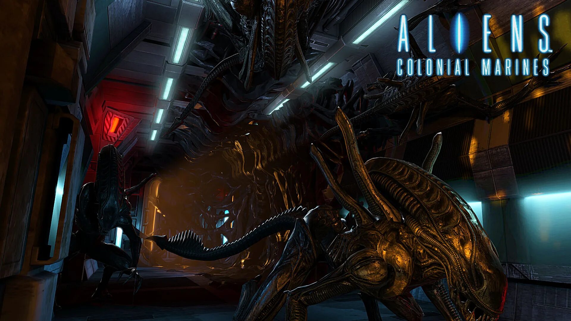 Загрузить чужие файлы. Игра aliens colonial marines. alien колония маринес. чужие колония маринс игра. чужой колониал маринес.