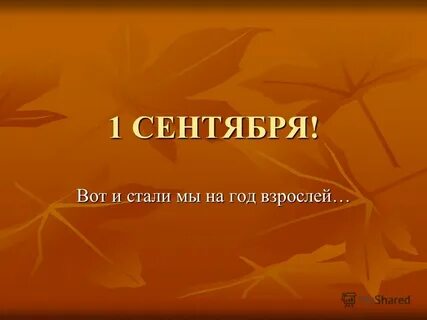 Вот и стали мы на год взрослей
