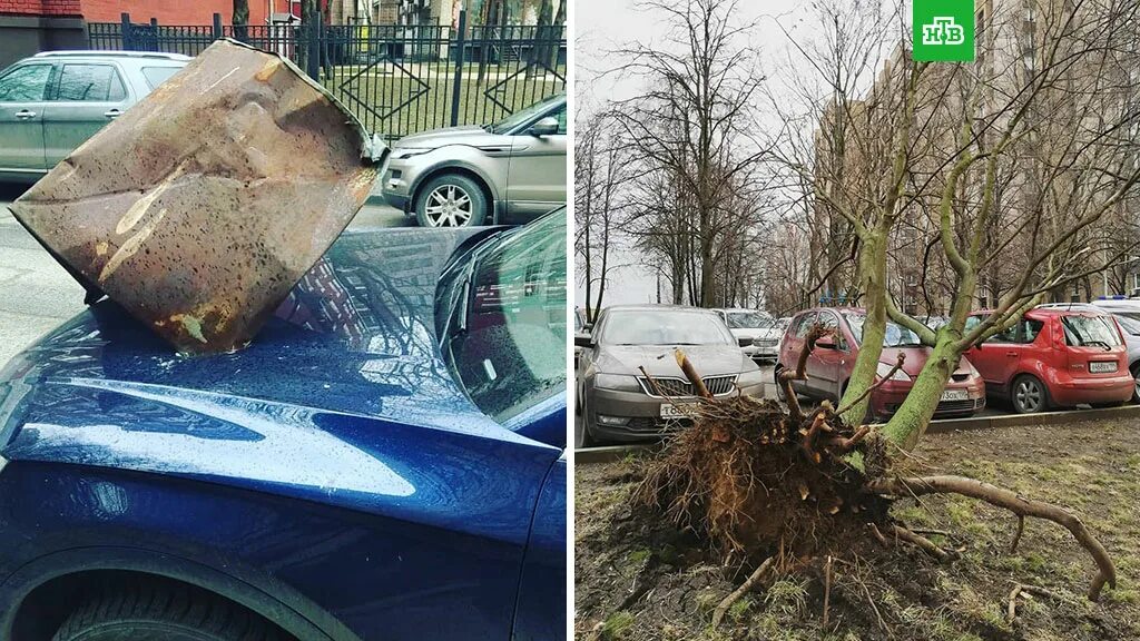 Ветер в москве деревья. Смерч в Москве 2020. Ураган в Москве. Ураган повалил деревья на машины в Москве. В Москве ветер повалил деревья.