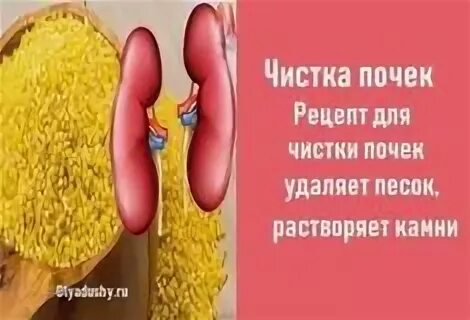 Как выгнать песок из почек. Очищение почек от камней. почистить почки. как почистить почки. очищение почек от песка.
