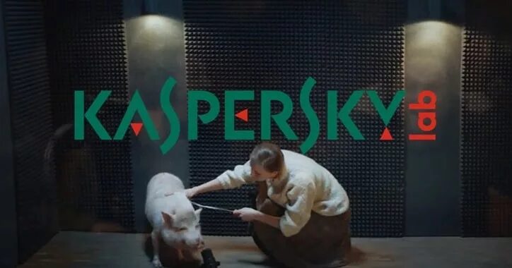 Голос свиньи. Шоу фрая и лори. Kaspersky sound. Звук поросенка. Касперский звук свиньи.