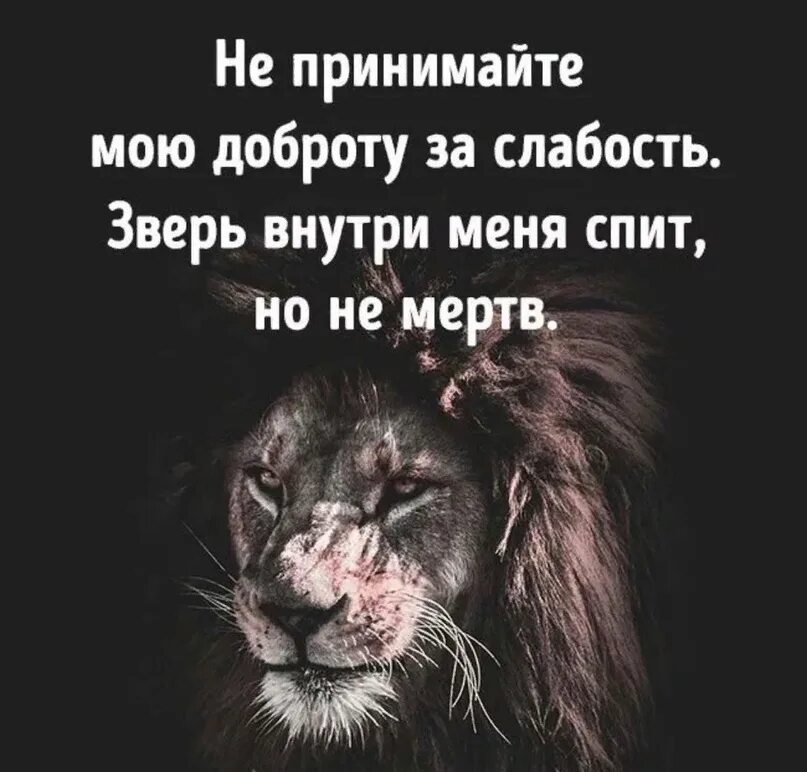 Будь добрее чем принято. Доброту за слабость. Доброту принимают за слабость. Доброту за слабость принимают цитата. Доброта за слабость цитаты.