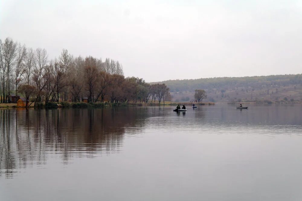 Село крещенка липецкая область. Пруд крещенка липецкая. Пруд крещенка липецкая. Павелка пруд липецкая область. Карп свежий.