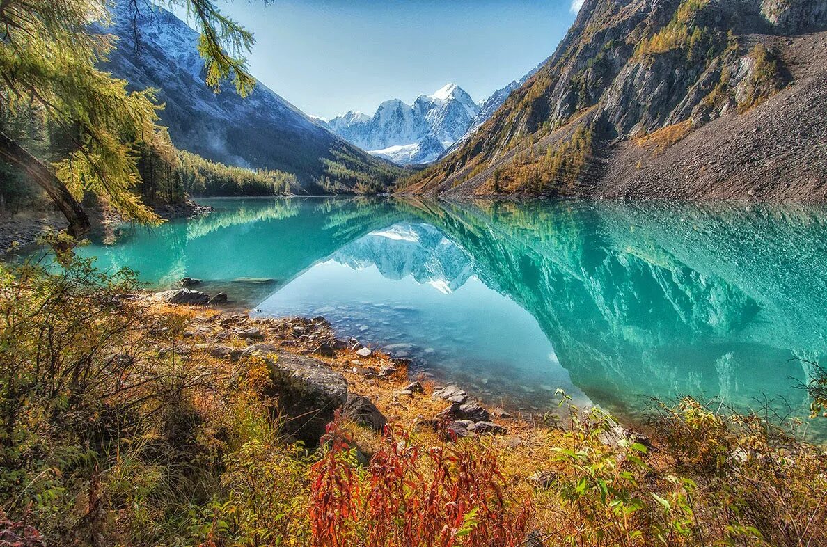 алтай цветы шавлинское озеро. лазурная катунь озеро. уникальная природа алтая. уникальная природа алтая. мангута горный алтай.