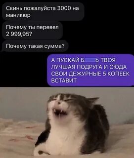 Ахахаххаха , бля 2024 Не Давно ВКонтакте 