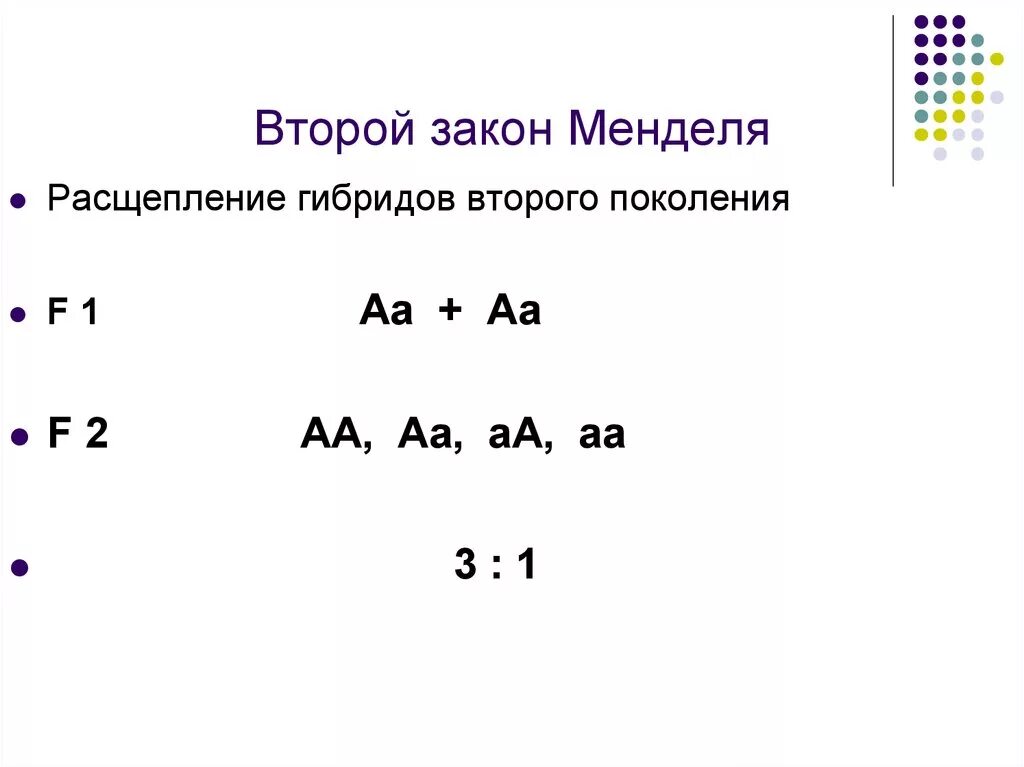 Закон расщепления Менделя схема. Второй закон Менделя закон расщепления. Расщепление по 2 закону Менделя. 2 Закон Менделя расщепление. Мендель второе поколение гибридов