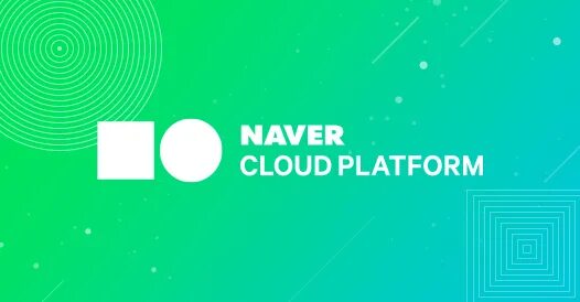 Ncloud. Naver cloud. Naver Maps logo.