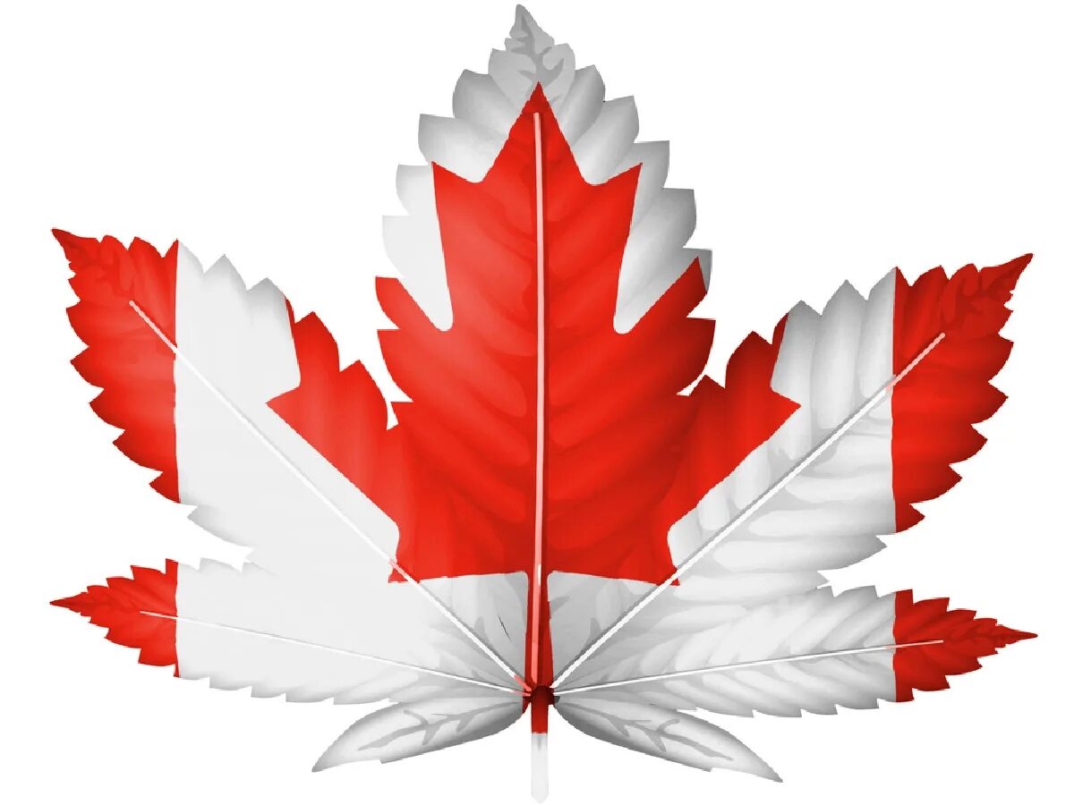 Red Maple Leaf Canada 150
