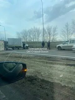 Сколько человек в белгороде 2023