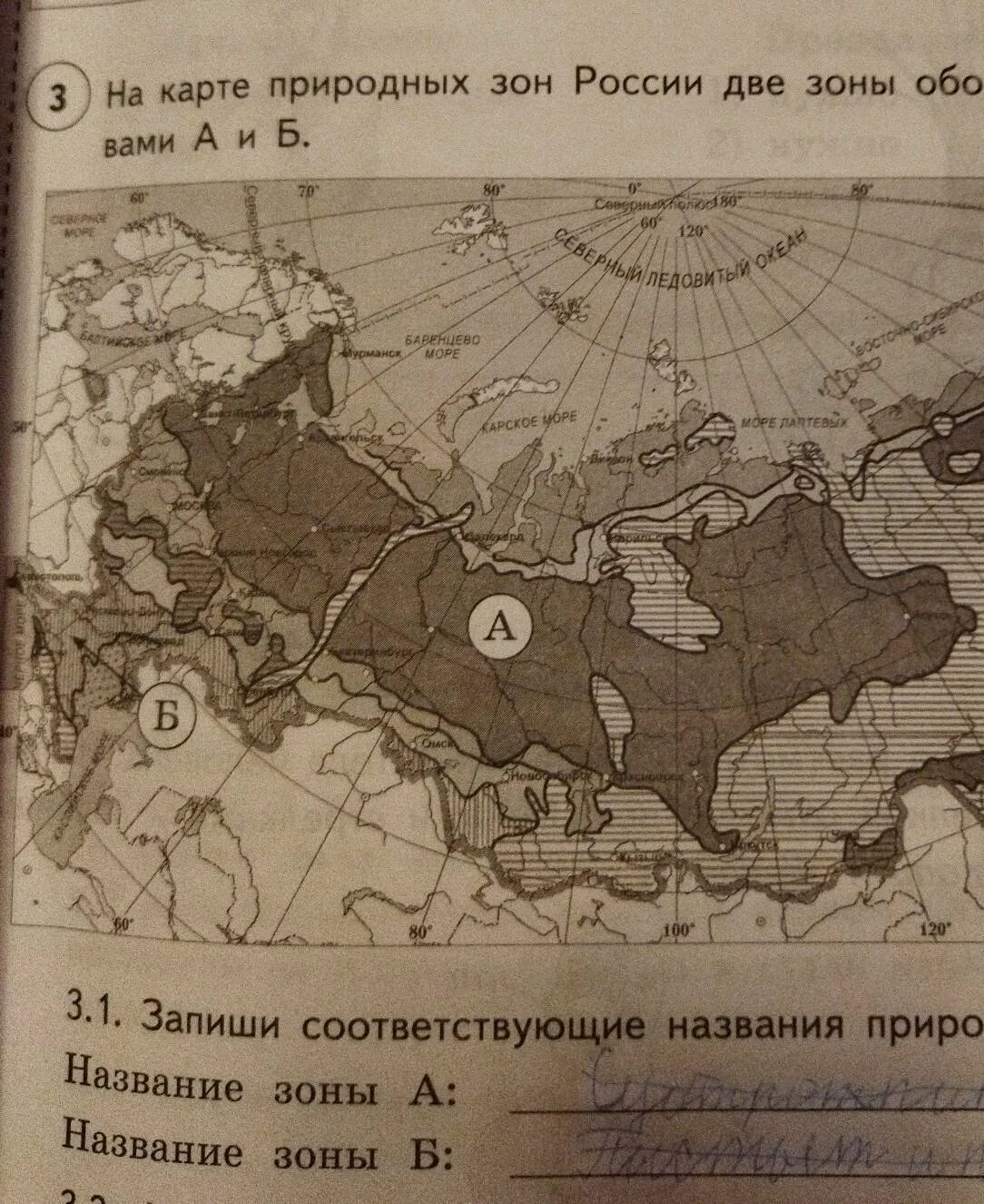 Природные зоны россии впр ответы. Природные зоны России а и б. Карта природных зон России. На карте природных зон России две зоны обозначены буквами а и б. Природные зоны обозначенными буквами.