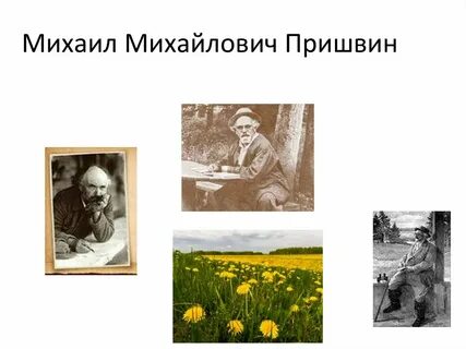 Пришвин золотой