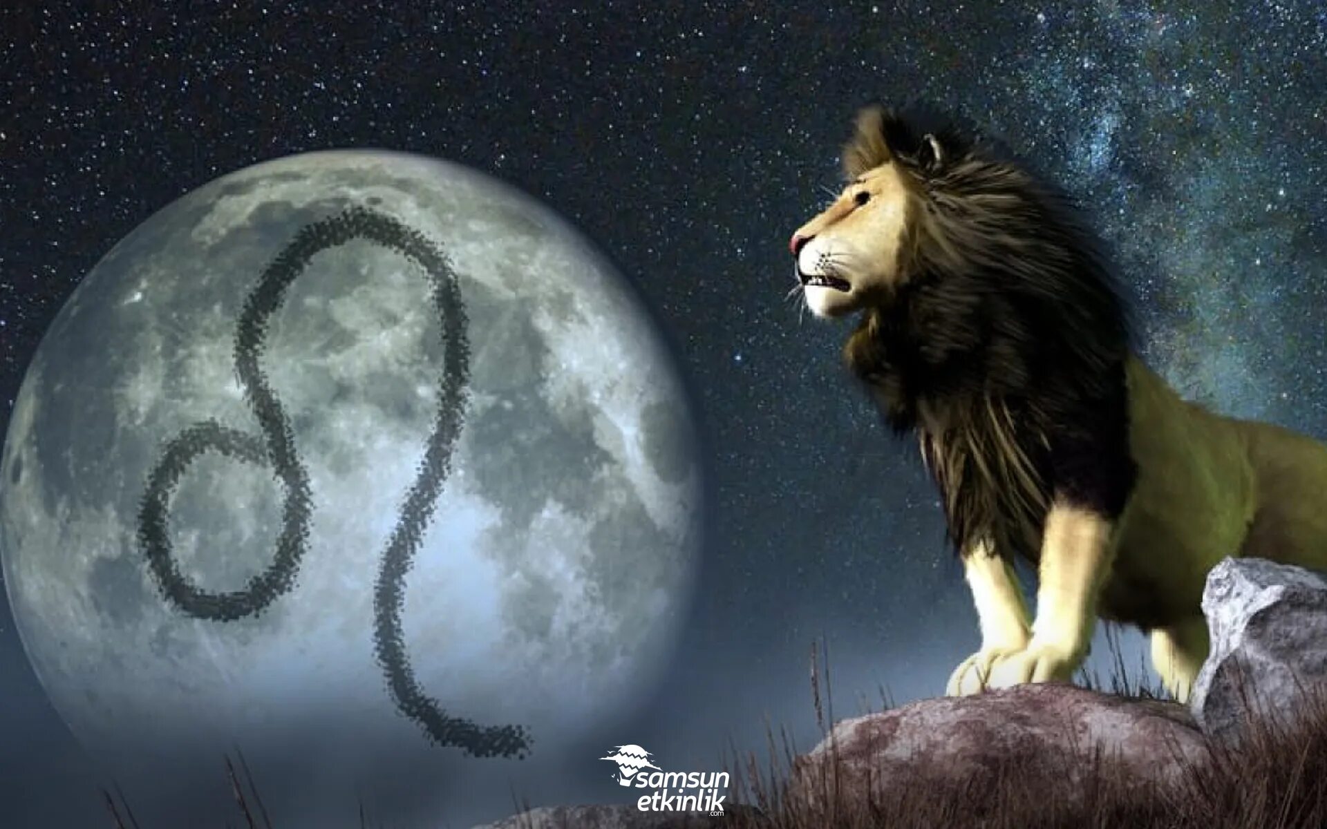 Гороскоп на апрель 2024г лев мужчина. Луна в знаке зодиака Лев. Луна во Льве. Белый Лев Луны. Козерог в Луне Льва.
