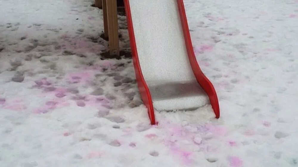 Розовый снег собаки. Розовый снег отрава для собак. Оторав для собак на снегу. Отравава для собак на снегу.