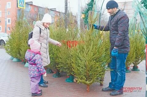 Елочный базар пермь