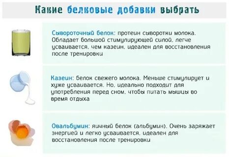 Что такое сывороточный белок