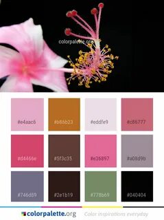 Цвет flora
