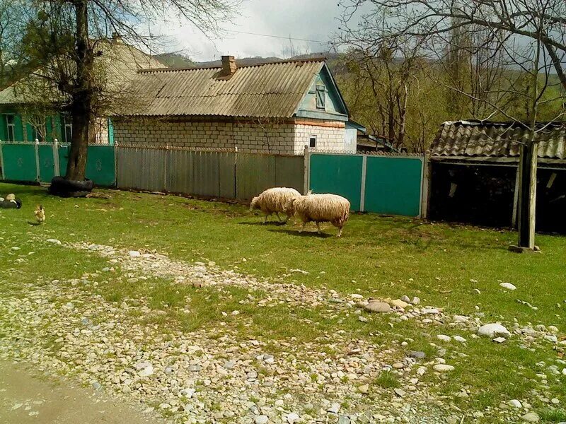 Погода в курджиново точный прогноз