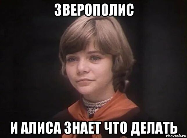 Алиса можно знать