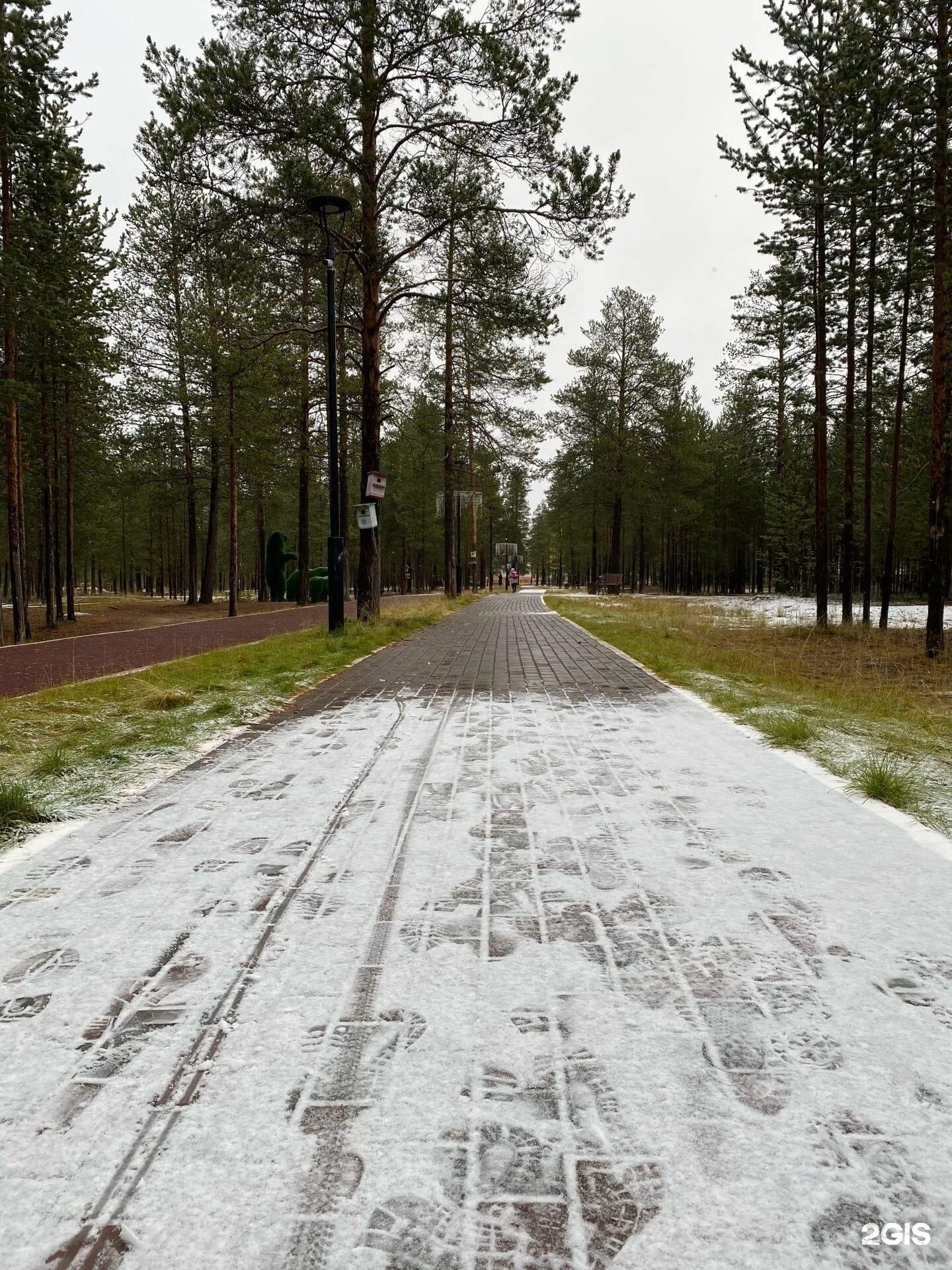 Ямало-ненецкий автономный температура. Ямало-ненецкий автономный округ зима. Погода муравленко янао. Прогноз погоды в муравленко. Погода муравленко янао.