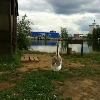 Рыбный мытищи