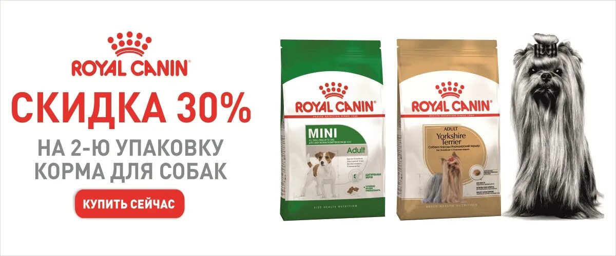 Royal корм для для животных. Корма класса премиум для собак роял канин. корм для йорков премиум класса роял канин. роял канин для собак акция. роял канин лайт для собак.