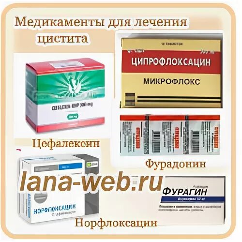 Противовоспалительные при воспалении мочеполовой системы